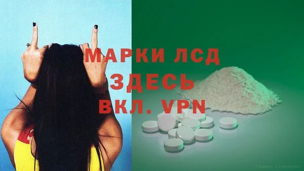 spice Вяземский