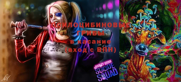 spice Вяземский