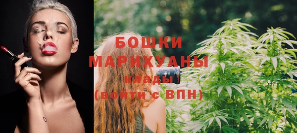 spice Вяземский
