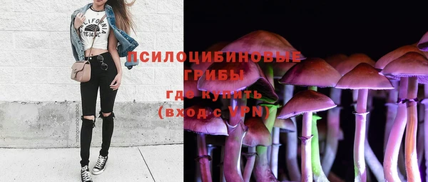 spice Вяземский