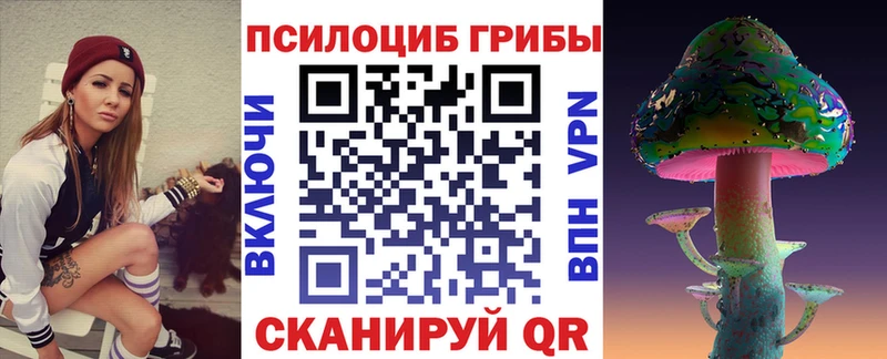 закладки  Нальчик  Псилоцибиновые грибы MAGIC MUSHROOMS 