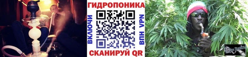 Бошки марихуана White Widow  Нальчик 